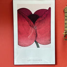 A framed art print featuring two large red flowers with intricate details, displayed against a vibrant red wall. Information about the artist is included.