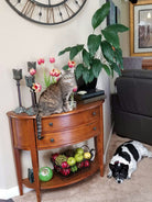 A tabby cat sits on a wooden console table adorned with flowers. A black and white dog lies on the carpet nearby, and decorative fruits are displayed below.