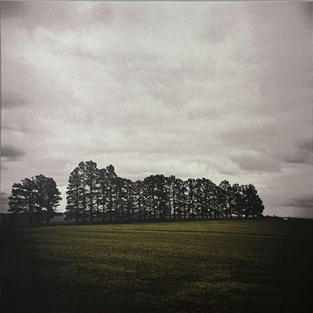 A large artwork featuring dark trees silhouetted against a cloudy sky, set above a green field. The piece is displayed on a wall near wood accents.